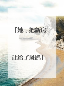 她，把新房让给了斑鸠