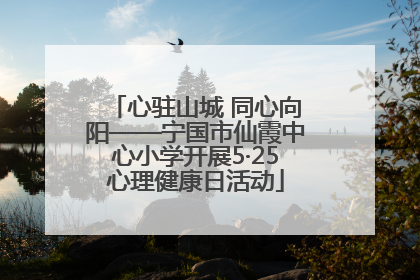 心驻山城 同心向阳——宁国市仙霞中心小学开展5·25心理健康日活动