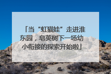 当“虹猫娃”走进淮东园，皂荚树下一场幼小衔接的探索开始啦