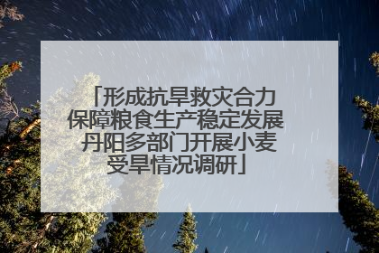 形成抗旱救灾合力 保障粮食生产稳定发展 丹阳多部门开展小麦受旱情况调研