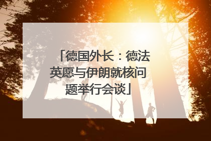 德国外长：德法英愿与伊朗就核问题举行会谈