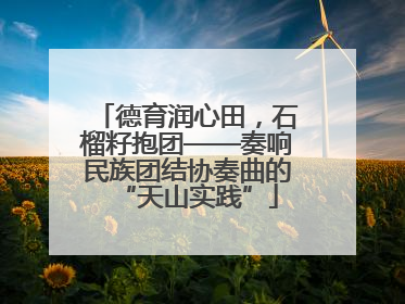 德育润心田，石榴籽抱团——奏响民族团结协奏曲的“天山实践”