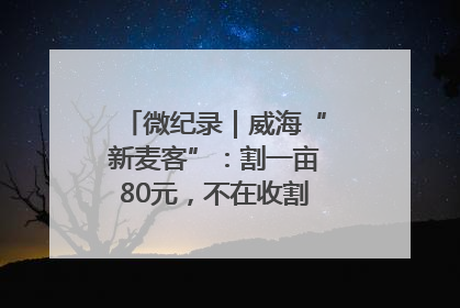 微纪录｜威海“新麦客”：割一亩80元，不在收割就是在收割路上