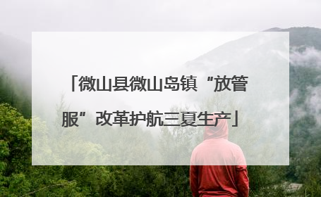 微山县微山岛镇“放管服”改革护航三夏生产