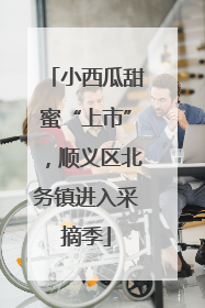 小西瓜甜蜜“上市”，顺义区北务镇进入采摘季