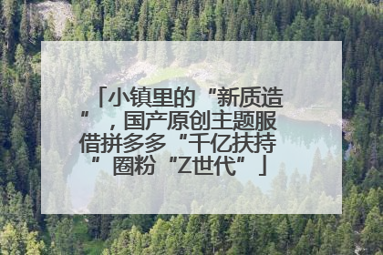 小镇里的“新质造”，国产原创主题服借拼多多“千亿扶持”圈粉“Z世代”
