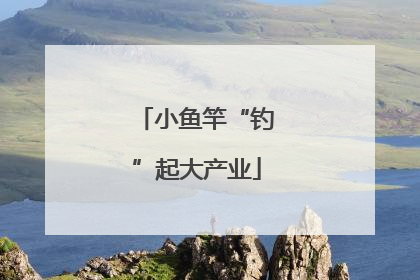 小鱼竿“钓”起大产业