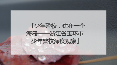 少年警校，建在一个海岛——浙江省玉环市少年警校深度观察