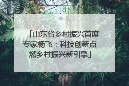 山东省乡村振兴首席专家杨飞：科技创新点燃乡村振兴新引擎