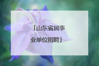 山东省属事业单位招聘