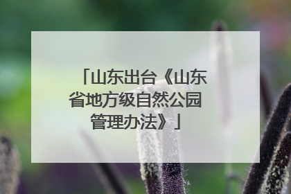 山东出台《山东省地方级自然公园管理办法》