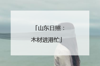 山东日照：木材进港忙