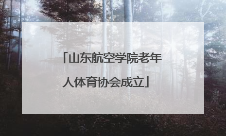 山东航空学院老年人体育协会成立