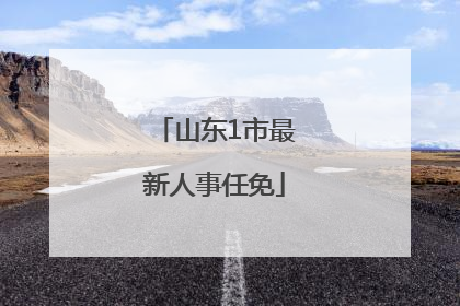 山东1市最新人事任免