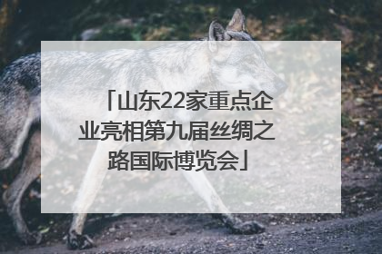 山东22家重点企业亮相第九届丝绸之路国际博览会
