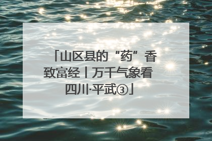 山区县的“药”香致富经丨万千气象看四川·平武③