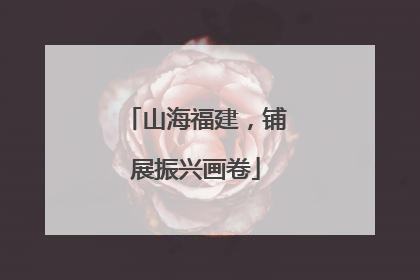 山海福建，铺展振兴画卷