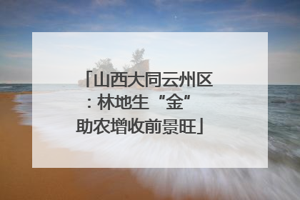 山西大同云州区：林地生“金” 助农增收前景旺