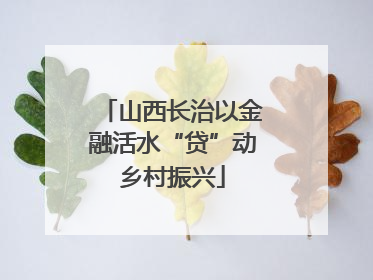 山西长治以金融活水“贷”动乡村振兴