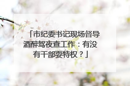 市纪委书记现场督导酒醉驾夜查工作：有没有干部耍特权？