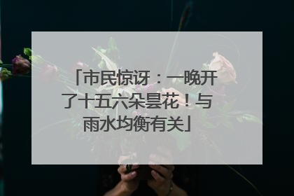 市民惊讶：一晚开了十五六朵昙花！与雨水均衡有关