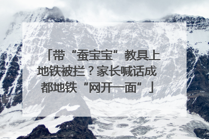 带“蚕宝宝”教具上地铁被拦？家长喊话成都地铁“网开一面”
