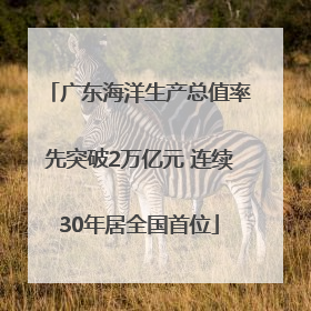 广东海洋生产总值率先突破2万亿元 连续30年居全国首位