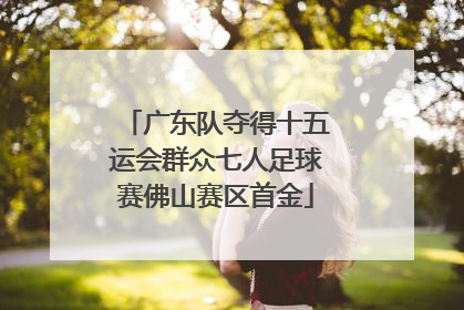 广东队夺得十五运会群众七人足球赛佛山赛区首金