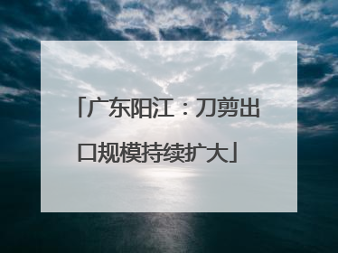 广东阳江：刀剪出口规模持续扩大