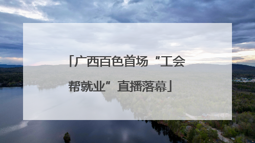 广西百色首场“工会帮就业”直播落幕
