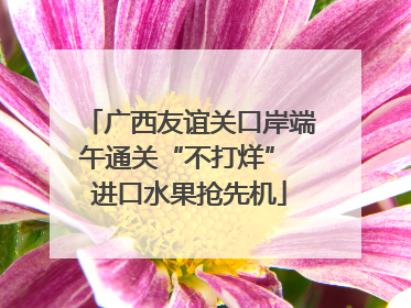 广西友谊关口岸端午通关“不打烊” 进口水果抢先机