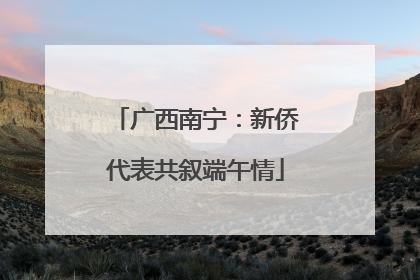 广西南宁：新侨代表共叙端午情