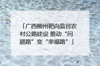 广西柳州靶向监督农村公路建设 推动“问题路”变“幸福路”