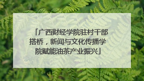 广西财经学院驻村干部搭桥，新闻与文化传播学院赋能油茶产业振兴