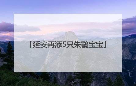 延安再添5只朱鹮宝宝