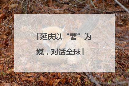 延庆以“薯”为媒，对话全球