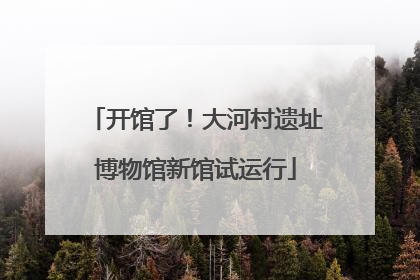 开馆了！大河村遗址博物馆新馆试运行