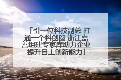 引一位科技副总 打通一个科创圈 浙江嘉善组建专家库助力企业提升自主创新能力