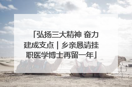 弘扬三大精神 奋力建成支点｜乡亲恳请挂职医学博士再留一年