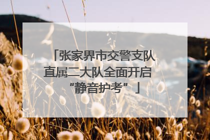 张家界市交警支队直属二大队全面开启“静音护考”