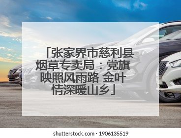 张家界市慈利县烟草专卖局：党旗映照风雨路 金叶情深暖山乡