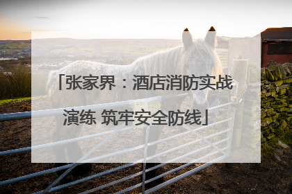 张家界：酒店消防实战演练 筑牢安全防线