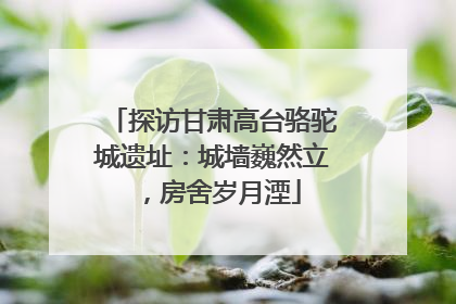 探访甘肃高台骆驼城遗址：城墙巍然立，房舍岁月湮