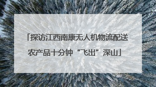 探访江西南康无人机物流配送 农产品十分钟“飞出”深山