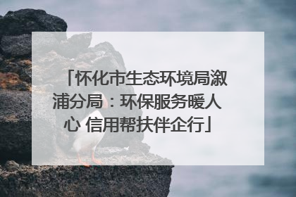 怀化市生态环境局溆浦分局：环保服务暖人心 信用帮扶伴企行