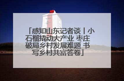 感知山东记者谈丨小石榴撬动大产业 枣庄破局乡村发展难题 书写乡村共富答卷