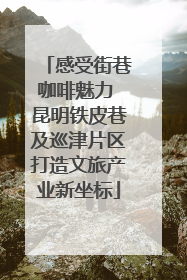 感受街巷咖啡魅力 昆明铁皮巷及巡津片区打造文旅产业新坐标