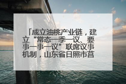 成立油桃产业链,建立“常态一季一议、要事一事一议”联席议事机制,山东省日照市莒县果庄镇——13个党小组“全周期”育果