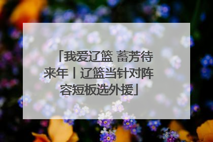 我爱辽篮 蓄芳待来年丨辽篮当针对阵容短板选外援