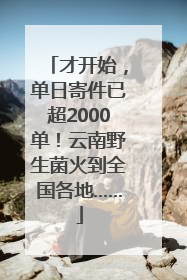 才开始，单日寄件已超2000单！云南野生菌火到全国各地……